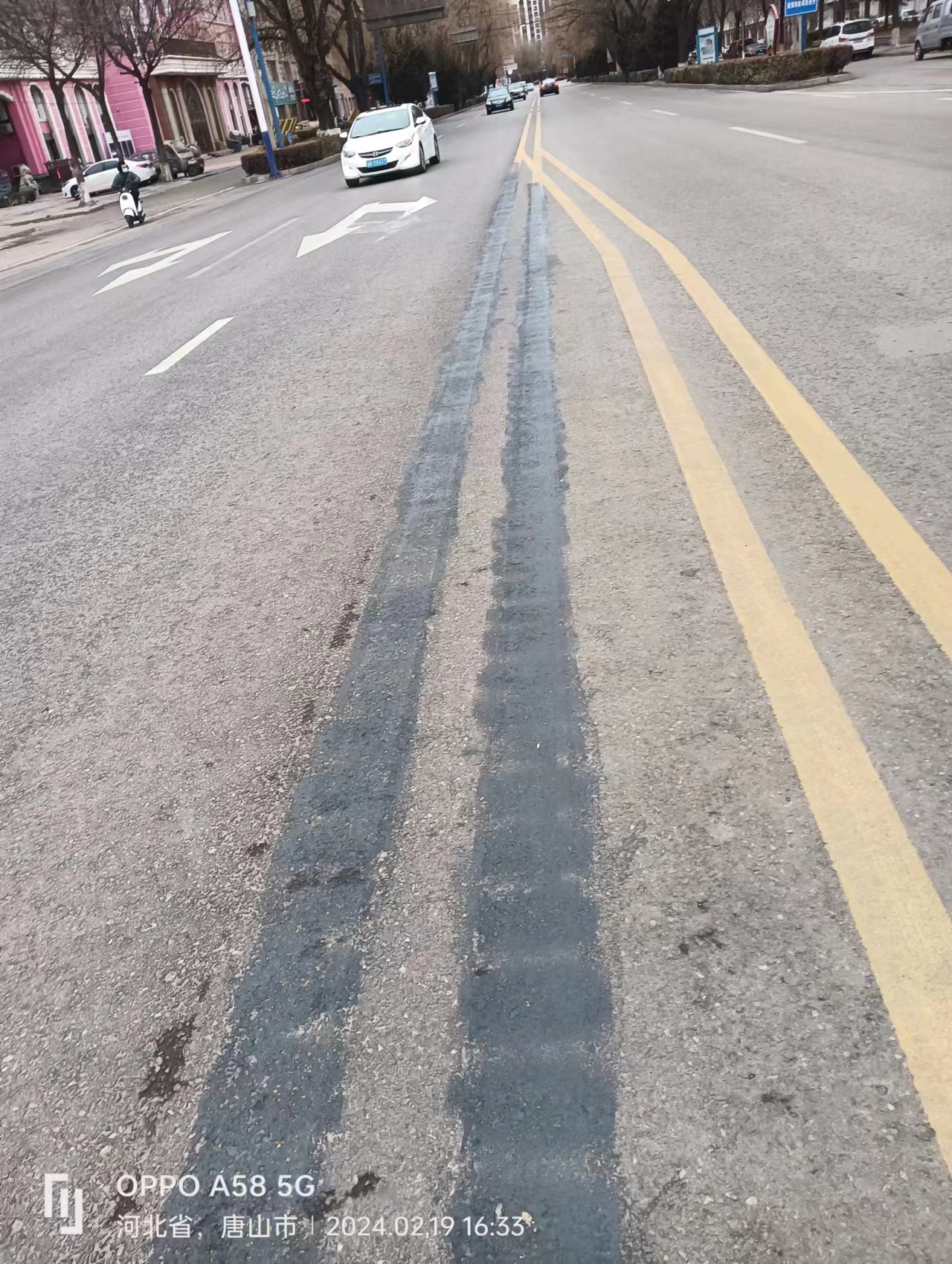 202402076051006_1708388538_2月20日西环岛交通标线照片3.jpg